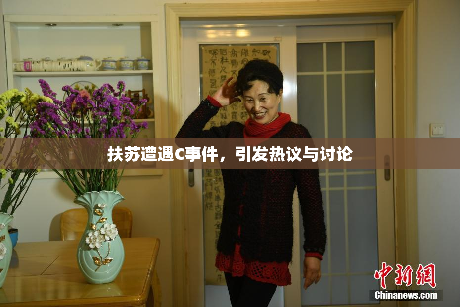 扶苏遭遇C事件，引发热议与讨论