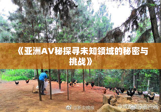 《亚洲AV秘探寻未知领域的秘密与挑战》