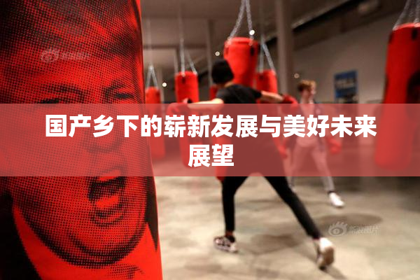 国产乡下的崭新发展与美好未来展望