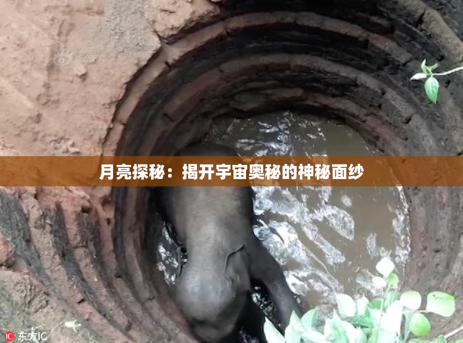月亮探秘：揭开宇宙奥秘的神秘面纱