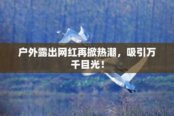 户外露出网红再掀热潮，吸引万千目光！