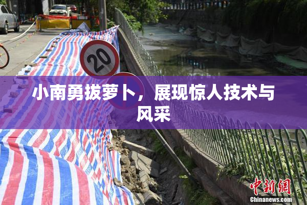 小南勇拔萝卜，展现惊人技术与风采