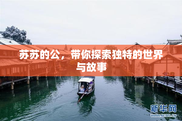 苏苏的公，带你探索独特的世界与故事