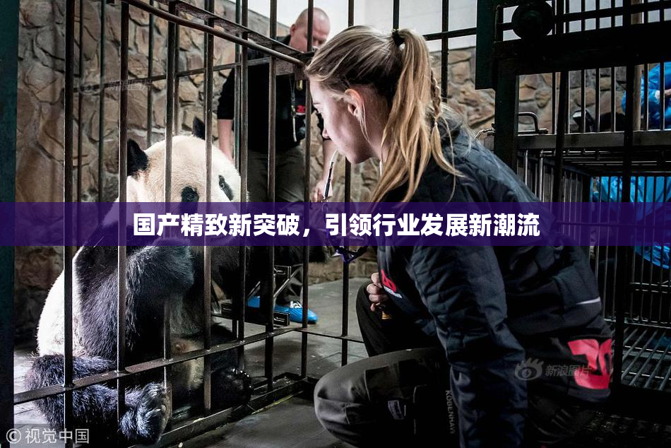 国产精致新突破，引领行业发展新潮流