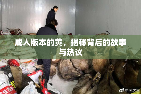 成人版本的黄，揭秘背后的故事与热议