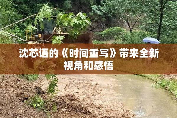 沈芯语的《时间重写》带来全新视角和感悟