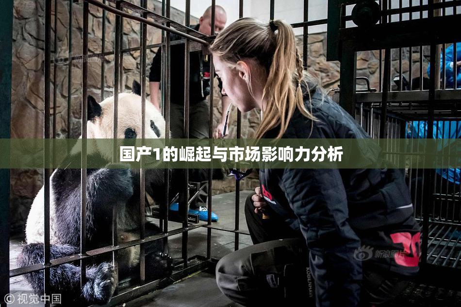 国产1的崛起与市场影响力分析