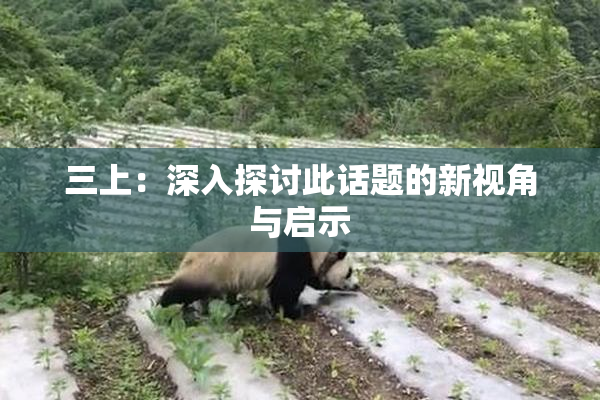 三上：深入探讨此话题的新视角与启示