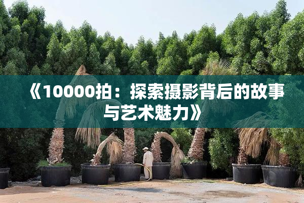 《10000拍：探索摄影背后的故事与艺术魅力》