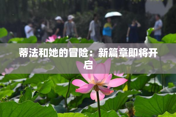 蒂法和她的冒险：新篇章即将开启