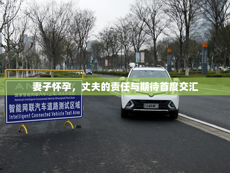 妻子怀孕，丈夫的责任与期待首度交汇