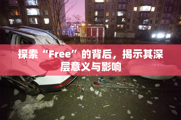 探索“Free”的背后，揭示其深层意义与影响