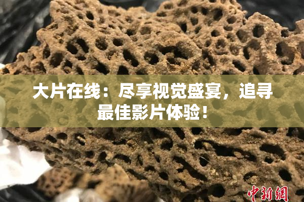 大片在线：尽享视觉盛宴，追寻最佳影片体验！