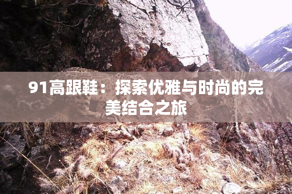 91高跟鞋：探索优雅与时尚的完美结合之旅
