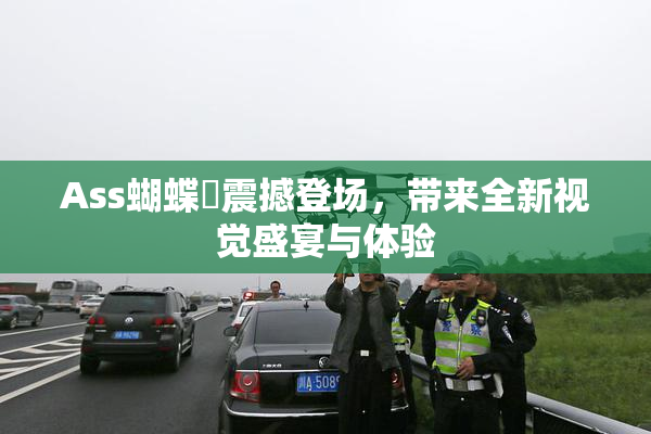 Ass蝴蝶泬震撼登场，带来全新视觉盛宴与体验
