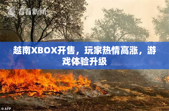 越南XBOX开售，玩家热情高涨，游戏体验升级