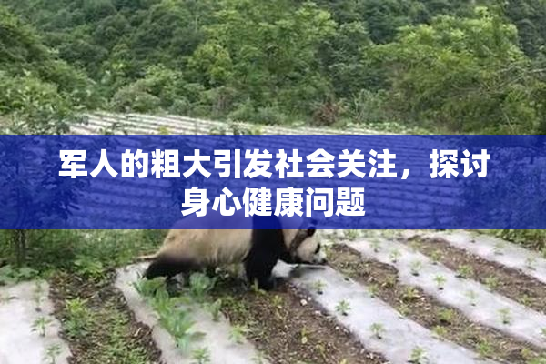 军人的粗大引发社会关注，探讨身心健康问题
