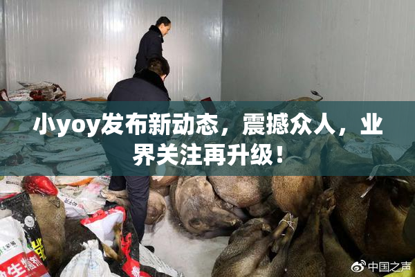小yoy发布新动态，震撼众人，业界关注再升级！