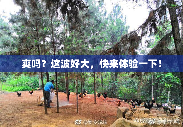 爽吗？这波好大，快来体验一下！