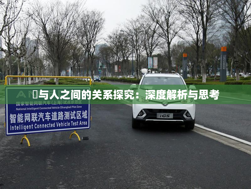 嘼与人之间的关系探究：深度解析与思考