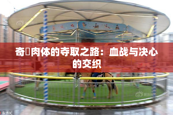 奇犽肉体的夺取之路：血战与决心的交织