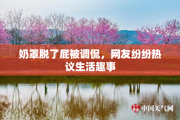 奶罩脱了屁被调侃，网友纷纷热议生活趣事
