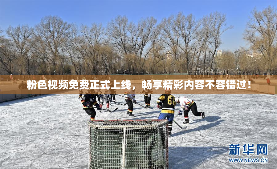 粉色视频免费正式上线，畅享精彩内容不容错过！
