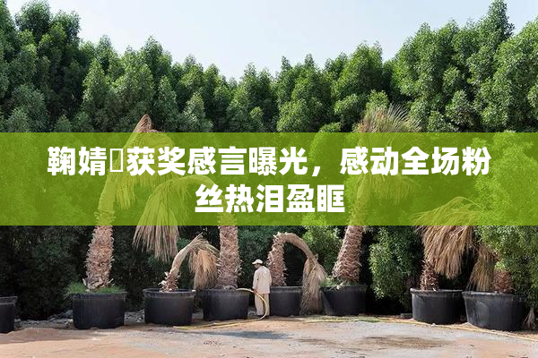 鞠婧祎获奖感言曝光，感动全场粉丝热泪盈眶
