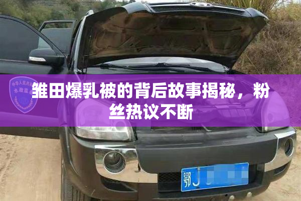 雏田爆乳被的背后故事揭秘，粉丝热议不断
