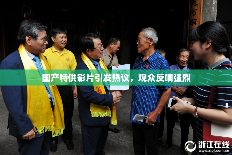 国产特供影片引发热议，观众反响强烈