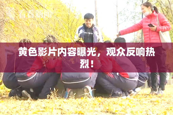 黄色影片内容曝光，观众反响热烈！