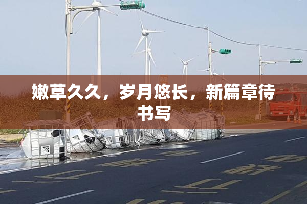 嫩草久久，岁月悠长，新篇章待书写