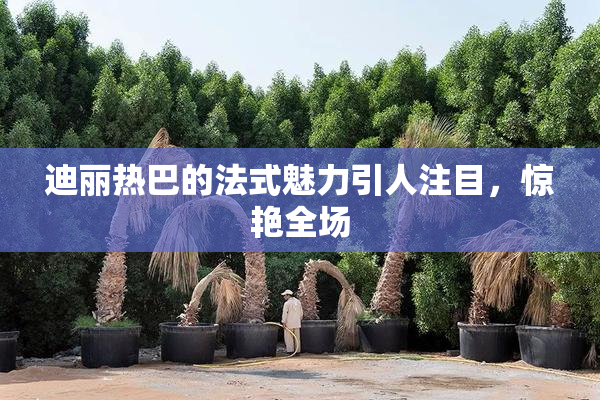 迪丽热巴的法式魅力引人注目，惊艳全场
