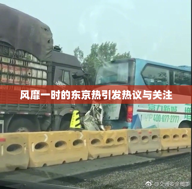 风靡一时的东京热引发热议与关注