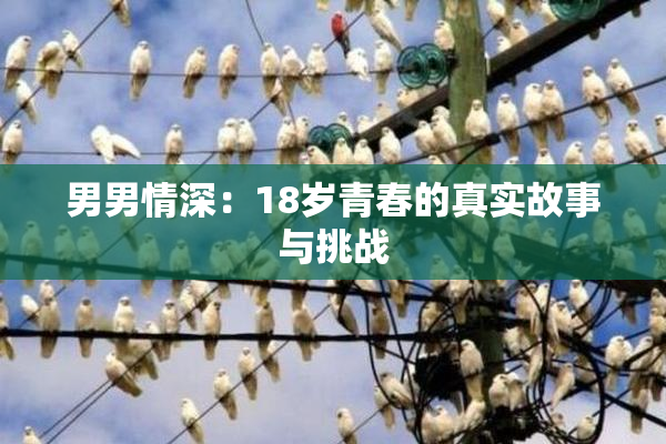 男男情深：18岁青春的真实故事与挑战