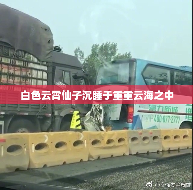 白色云霄仙子沉睡于重重云海之中