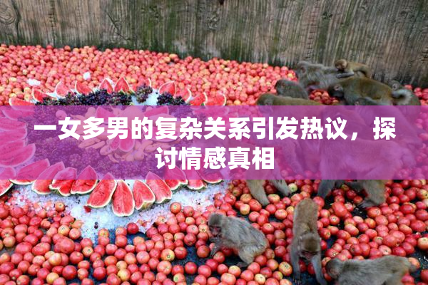 一女多男的复杂关系引发热议，探讨情感真相