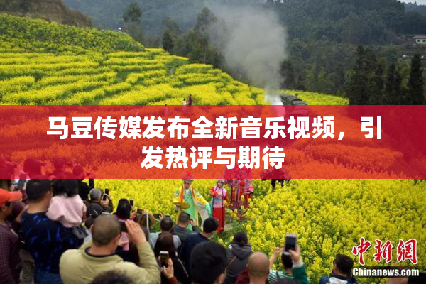 马豆传媒发布全新音乐视频，引发热评与期待