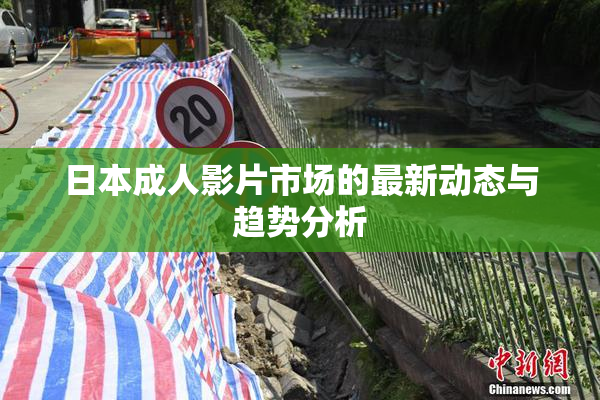 日本成人影片市场的最新动态与趋势分析