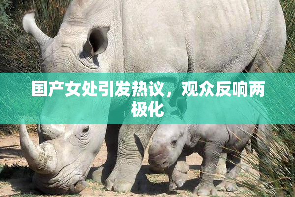国产女处引发热议，观众反响两极化