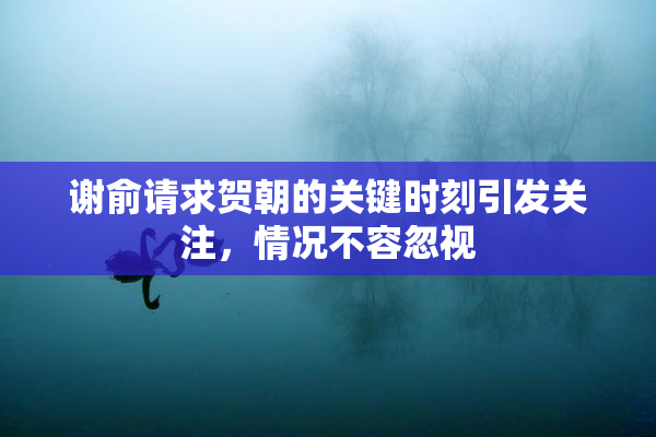 谢俞请求贺朝的关键时刻引发关注，情况不容忽视