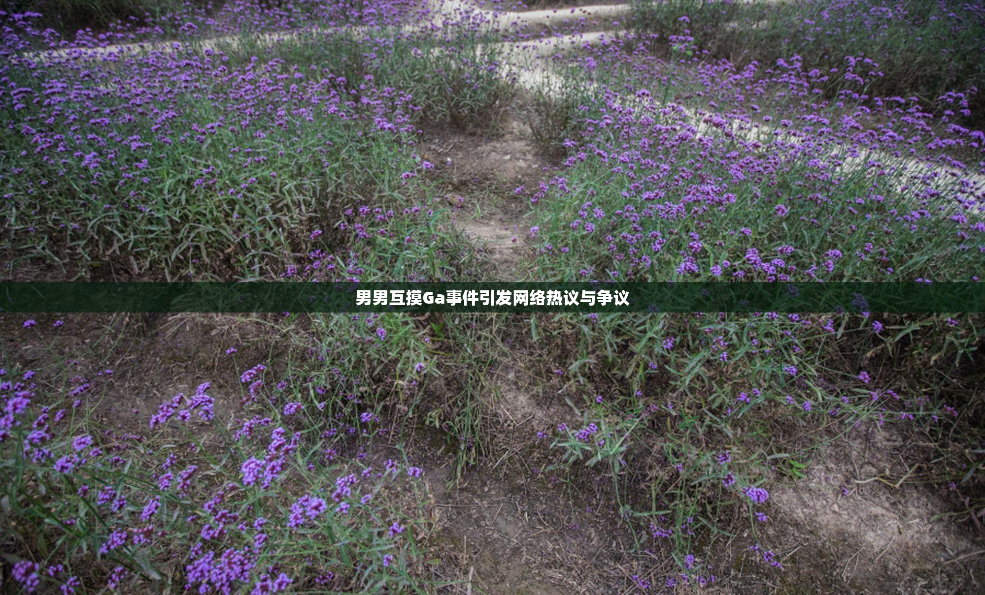 男男互摸Ga事件引发网络热议与争议