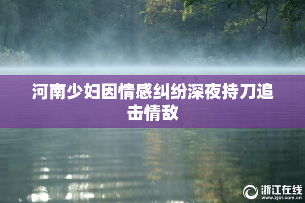 河南少妇因情感纠纷深夜持刀追击情敌