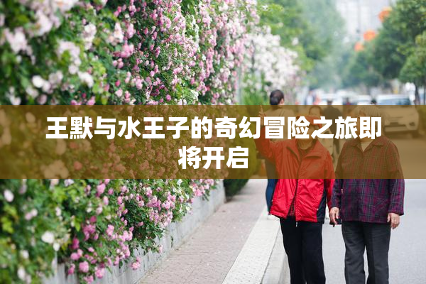 王默与水王子的奇幻冒险之旅即将开启