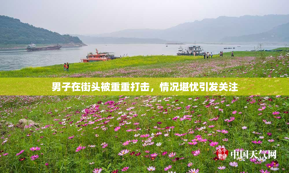 男子在街头被重重打击，情况堪忧引发关注