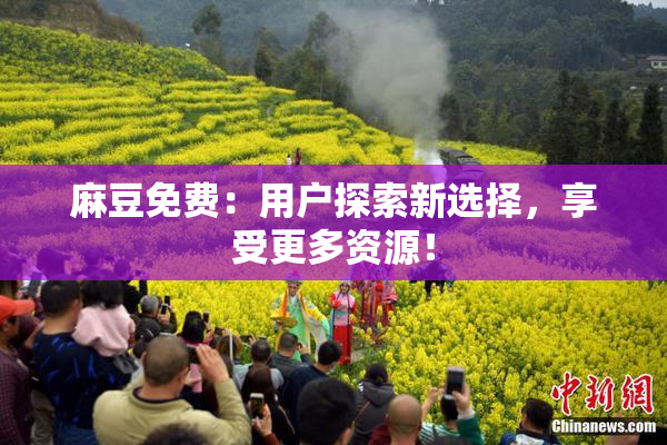 麻豆免费：用户探索新选择，享受更多资源！