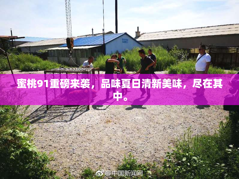 蜜桃91重磅来袭，品味夏日清新美味，尽在其中。