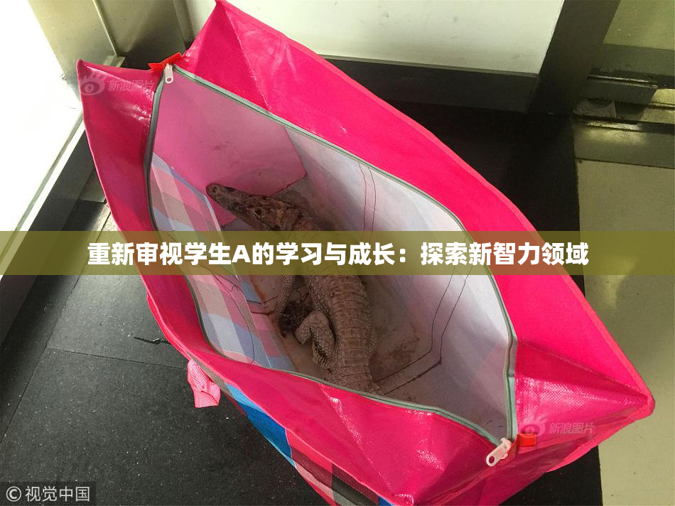 重新审视学生A的学习与成长：探索新智力领域