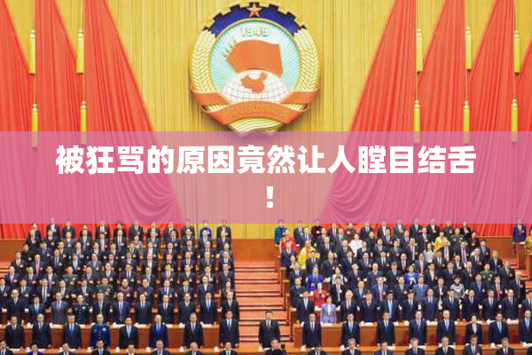 被狂骂的原因竟然让人瞠目结舌！