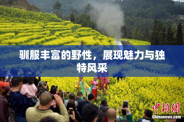 驯服丰富的野性，展现魅力与独特风采